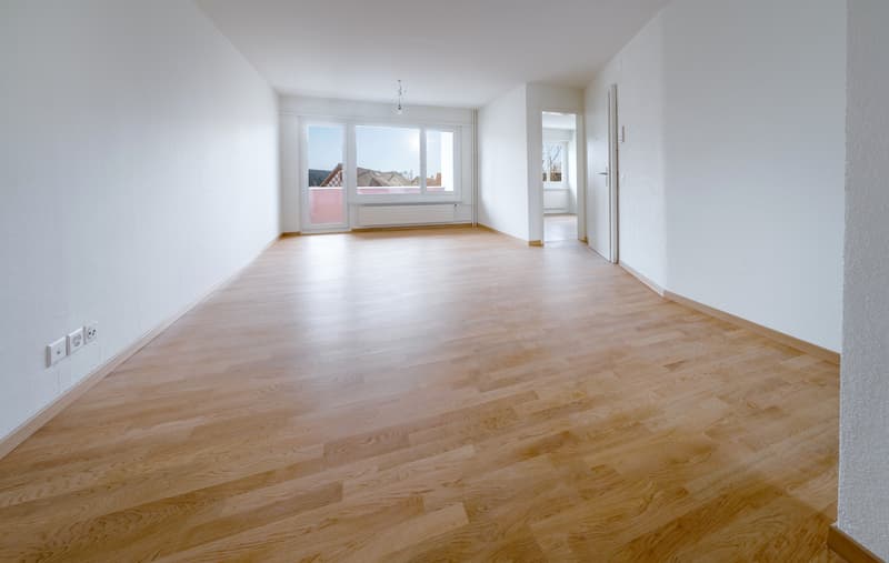 Zeit für ein neues Zuhause (2)