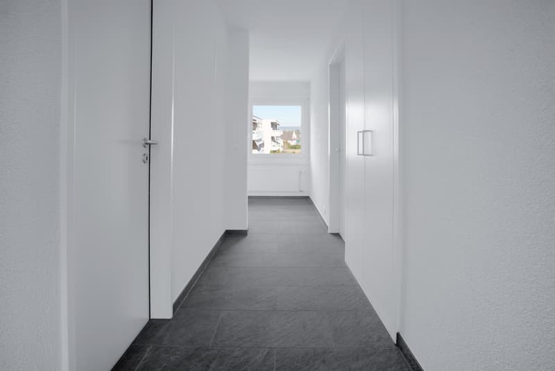 Zeit für ein neues Zuhause (7)