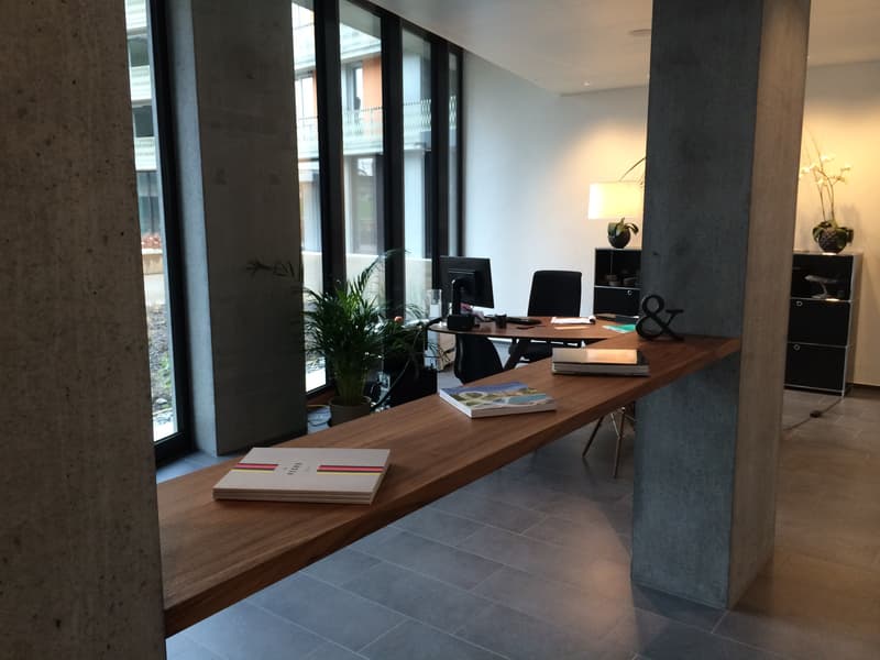 Attraktive Büro- / Gewerbefläche zu vermieten (2)