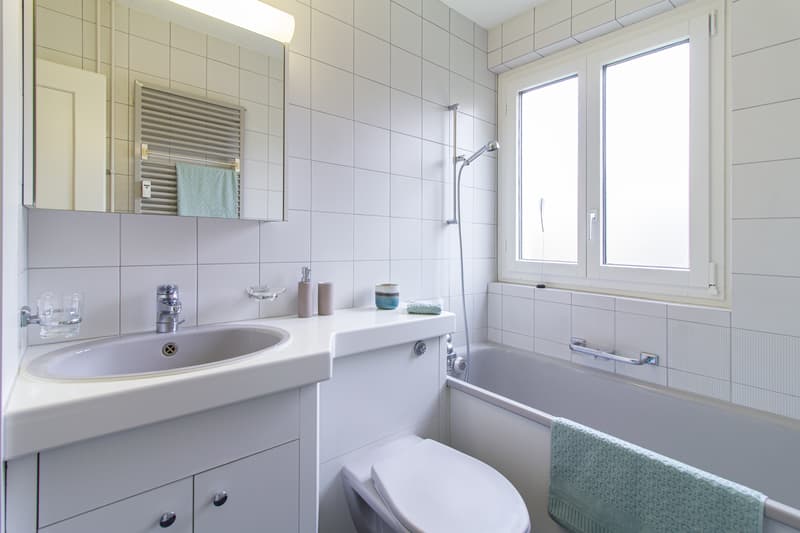 Charmante Wohnung sucht neuen Mieter (3)