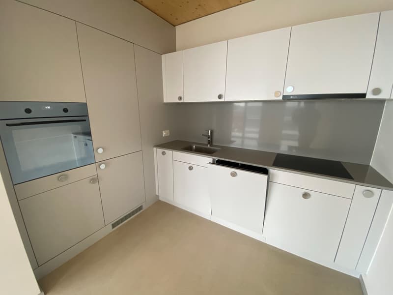 Wunderschöne Wohnung im KIM Winterthur (5)