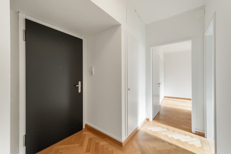 Frisch saniert - im Herzen von Zürich Enge - Ihr neues Zuhause? (8)
