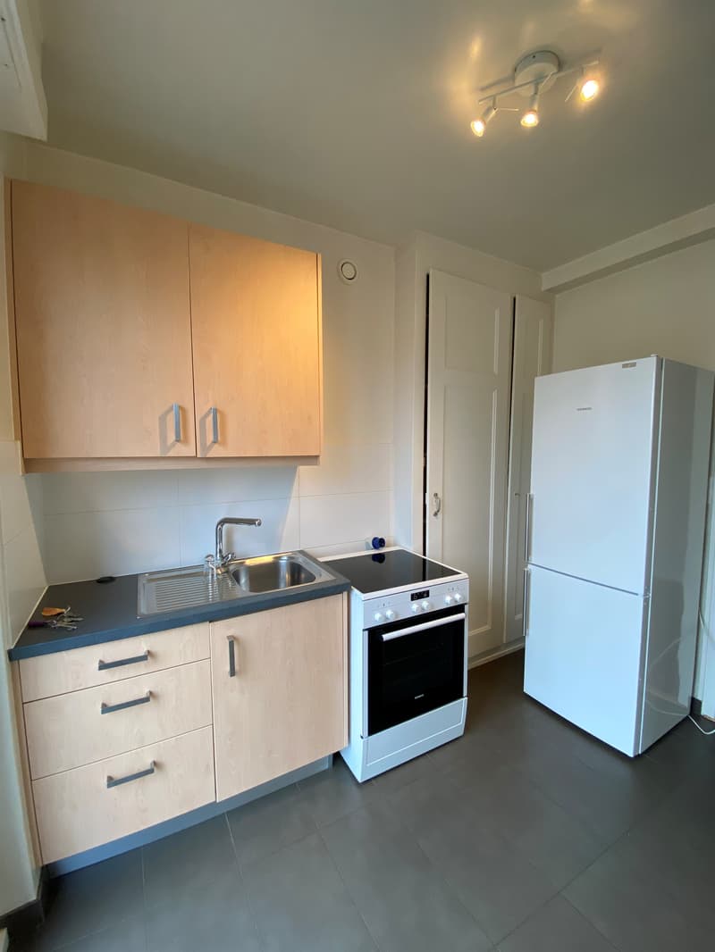 Agréable appartement à Plainpalais (6)