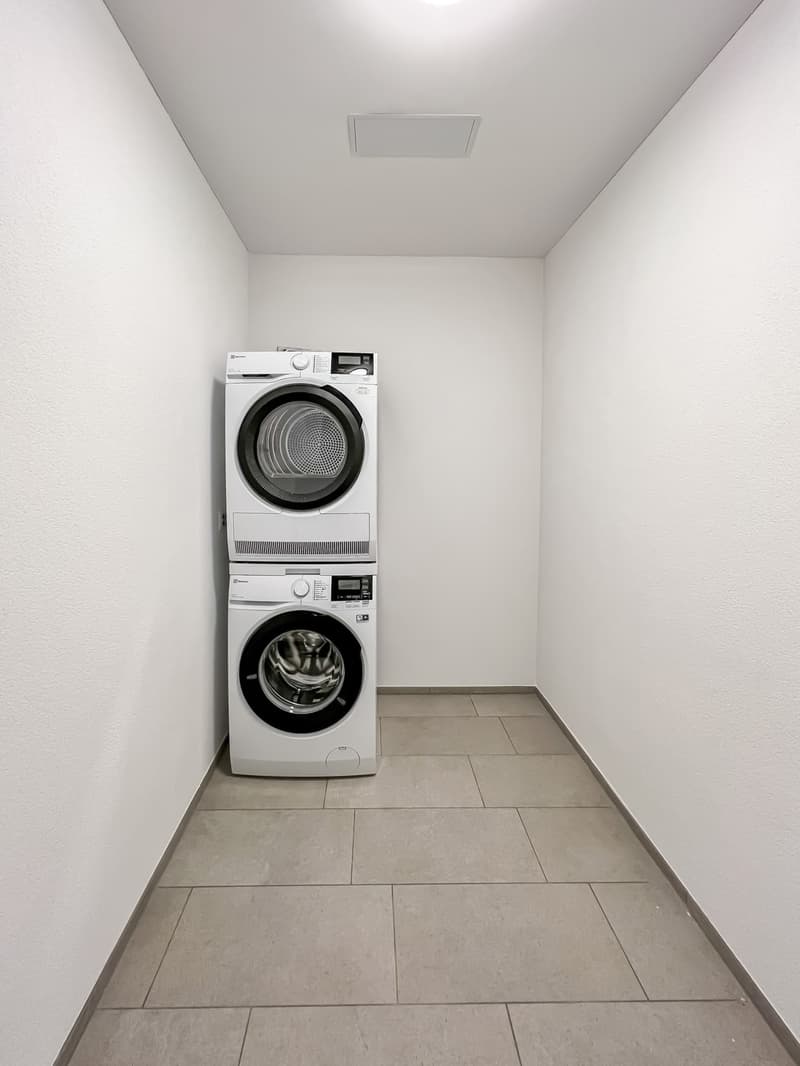 Moderne Attikawohnung (6)