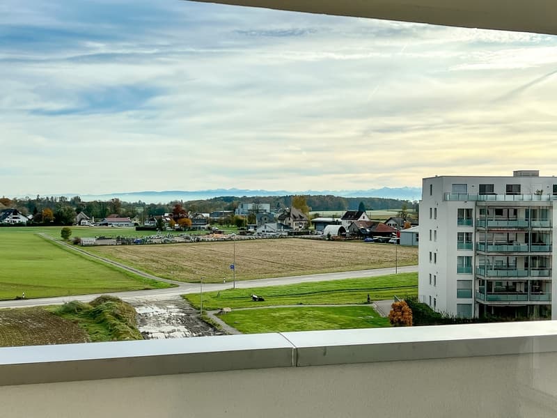 Moderne Attikawohnung mit grosszügiger Terrasse (10)