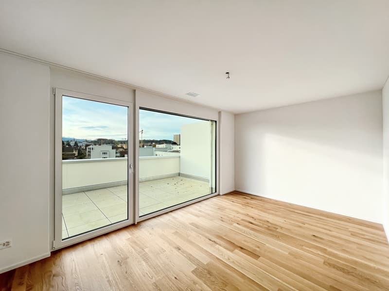 Moderne Attikawohnung mit grosszügiger Terrasse (7)