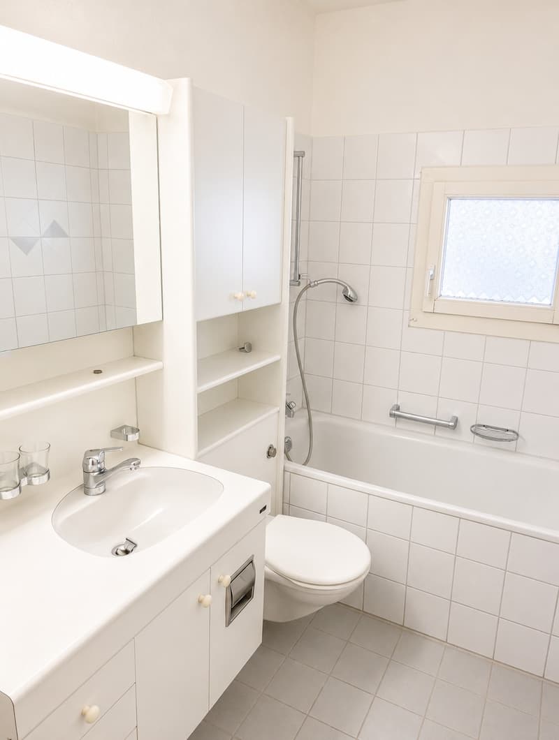 Charmante Wohnung zwischen Letzigrund & Hardplatz! (8)