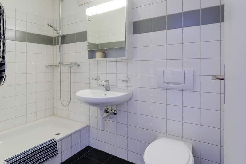 Gemütliche Single-Wohnung (5)
