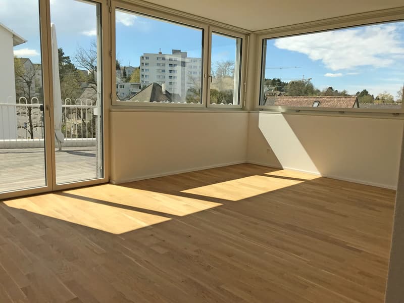 Wunderschöne Maisonettewohnung (3)