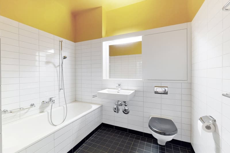 Traumhafte Wohnung an herrlicher Lage in Höngg! (7)