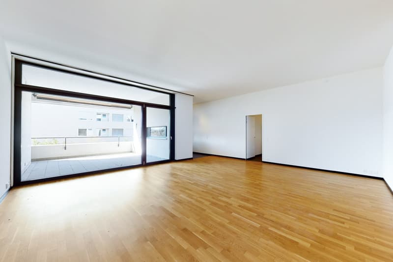 Traumhafte Wohnung an herrlicher Lage in Höngg! (2)
