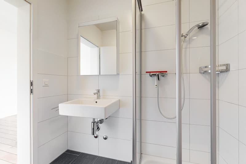 Charmante Singlewohnung an zentraler Lage! (4)