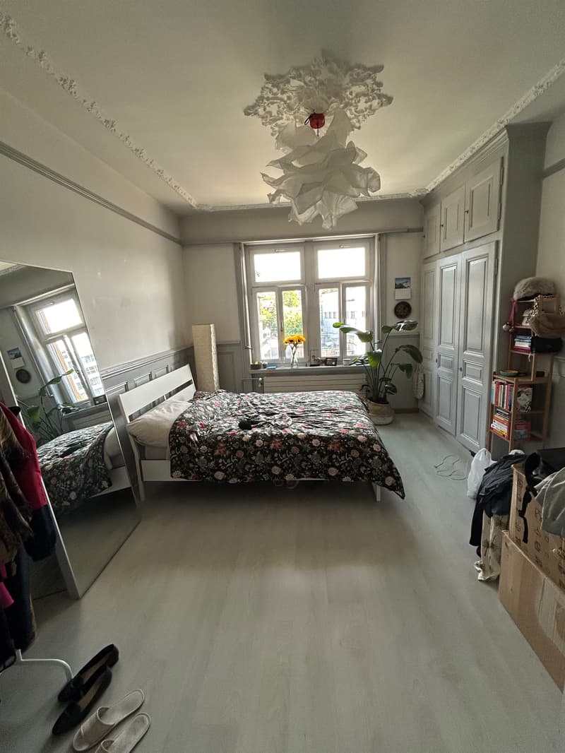 Grosszügige Wohnung direkt am Dornacherplatz sucht Sie. (4)