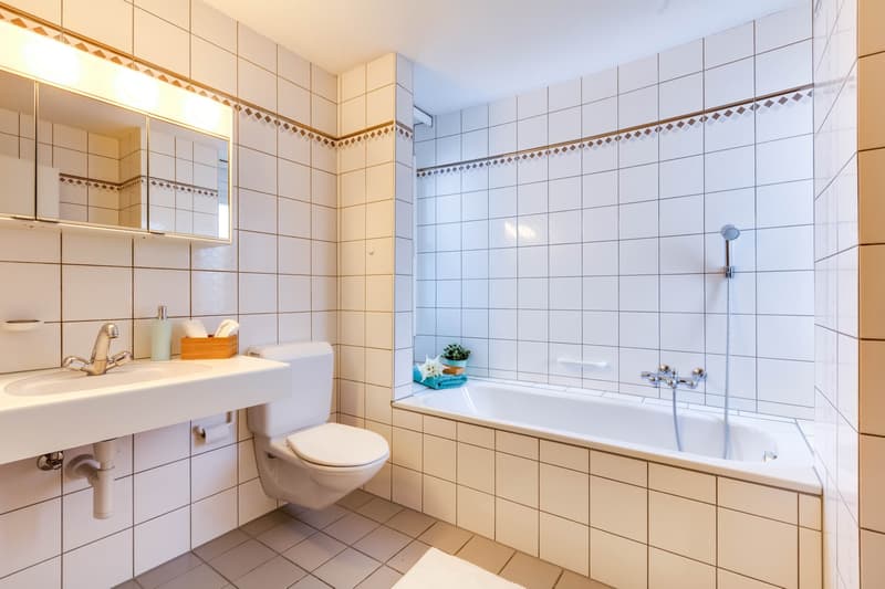 Grosszügige Wohnung mit zwei Balkonen in idealer Lage! (5)