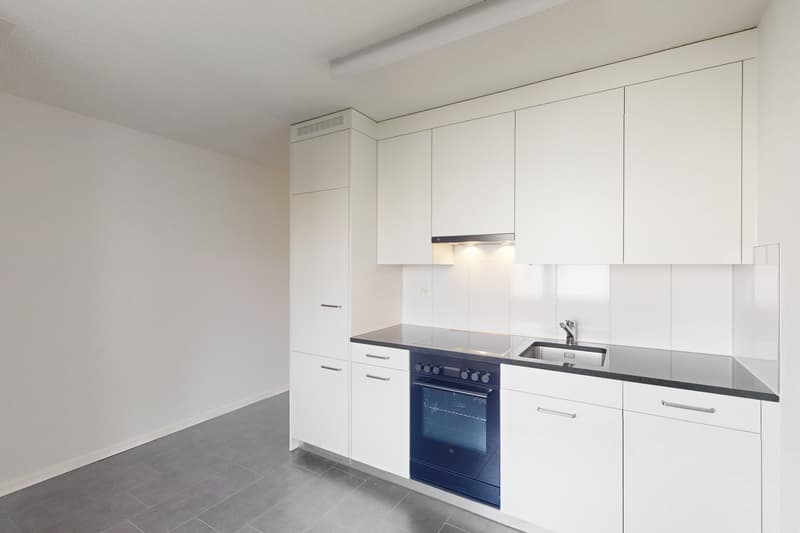 Sanierte Wohnung an zentraler und ruhiger Wohnlage (4)