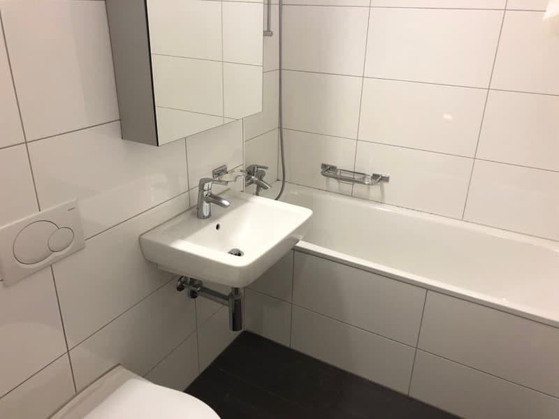 Single-/Studentenwohnung sucht Sie! (3)