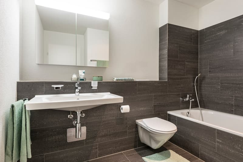 Moderne Sitzplatzwohnung sucht neuen Mieter (4)
