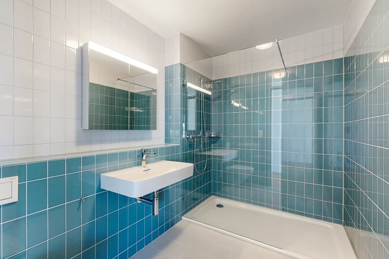 Moderne und zentrale Wohnung in Zürich - befristet bis 31.01.2028! (8)