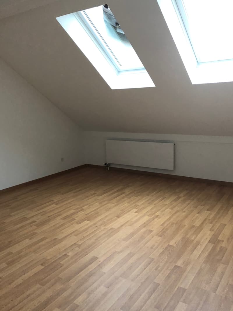 Charmante Dachwohnung sucht Sie! (7)