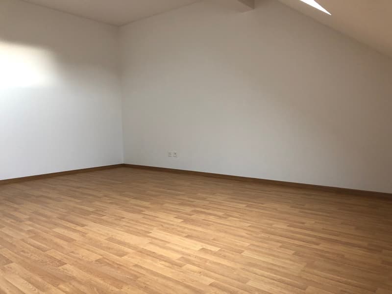 Charmante Dachwohnung sucht Sie! (8)