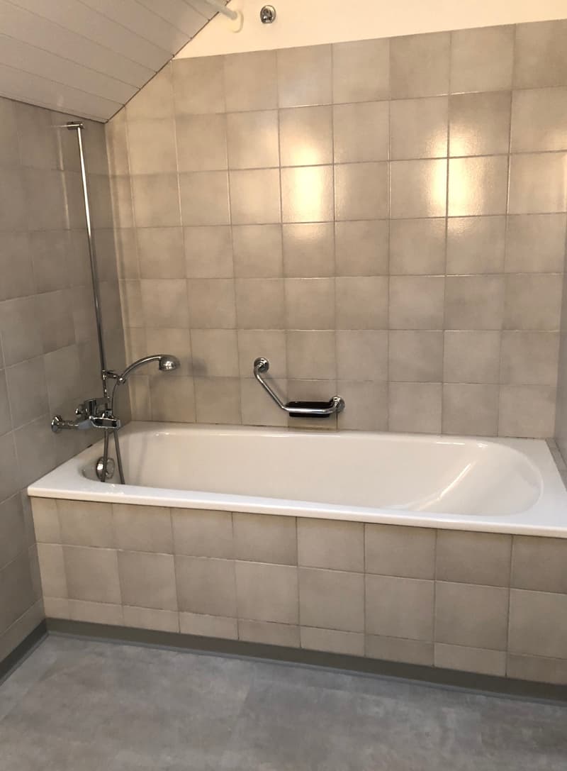 Charmante Dachwohnung sucht Sie! (4)