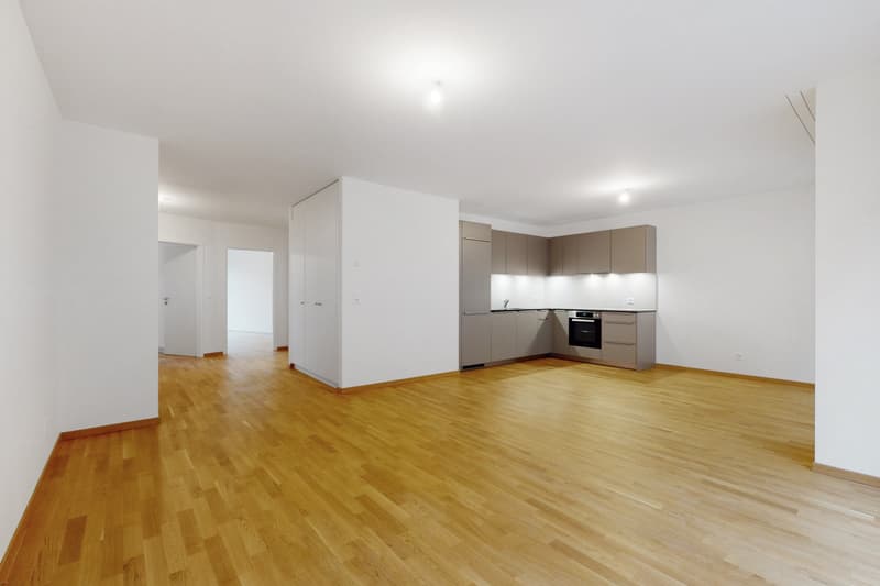 Vivre dans un logement moderne à deux pas du Lac (2)