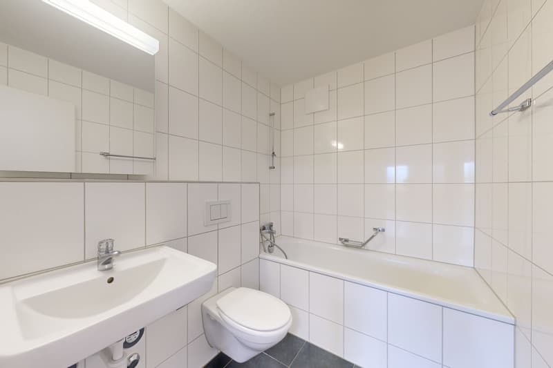 Wohnung im Familienquartier zu vermieten (7)