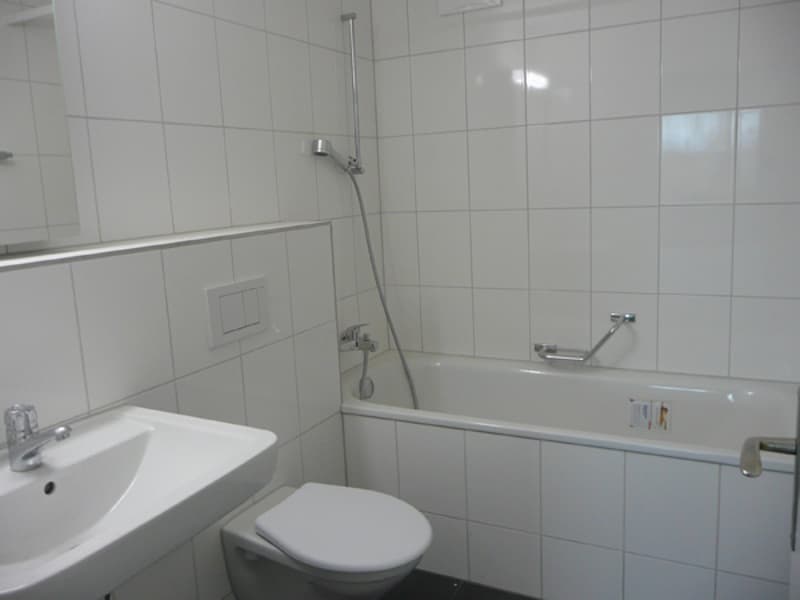 Wohnung im Familienquartier zu vermieten (4)