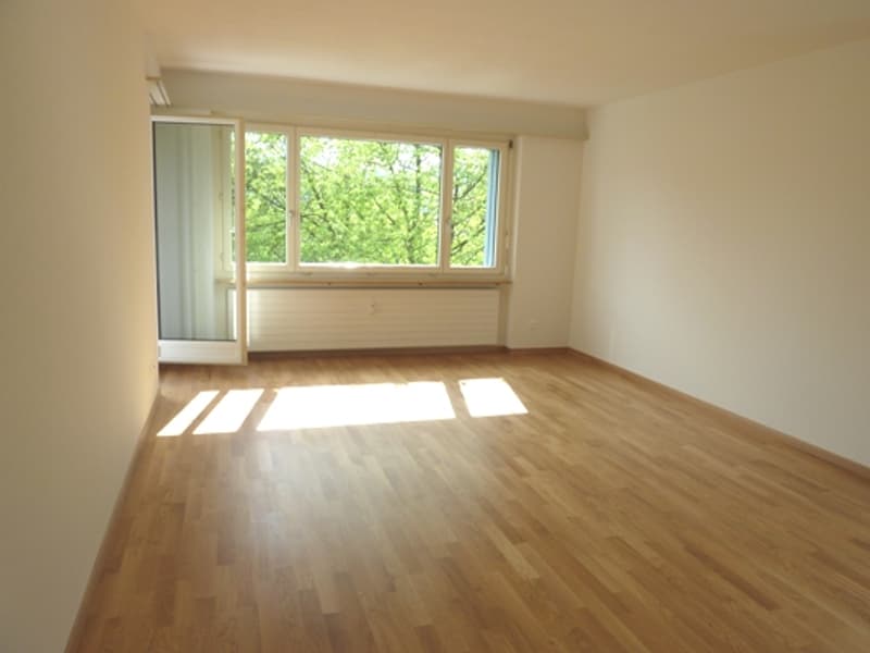 Wohnung im Familienquartier zu vermieten (2)