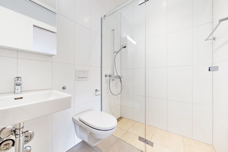 Ihr neues Zuhause im Herzen der Grossmatte (10)
