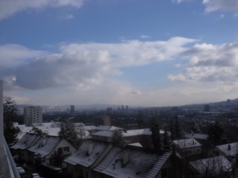 Moderne Attikawohnung mit top Aussicht (7)
