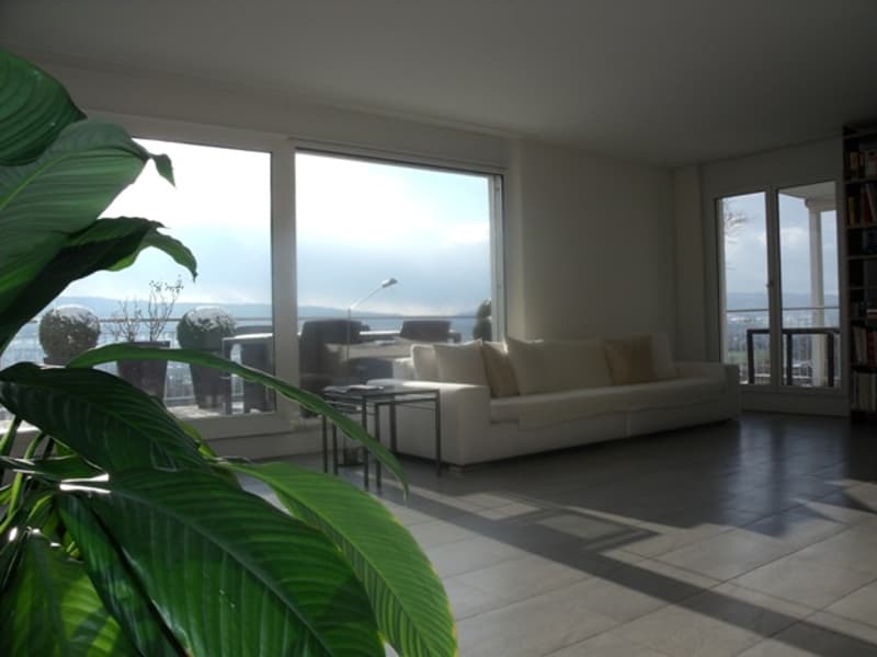 Moderne Attikawohnung mit top Aussicht (2)