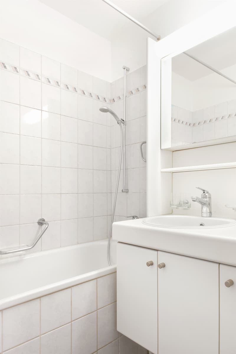 Attraktive Wohnung, ideal für Jung und Alt! (4)