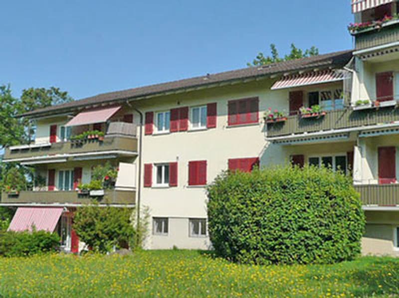 Gemütliche Wohnung an zentraler Lage in Zürich-Witikon (1)