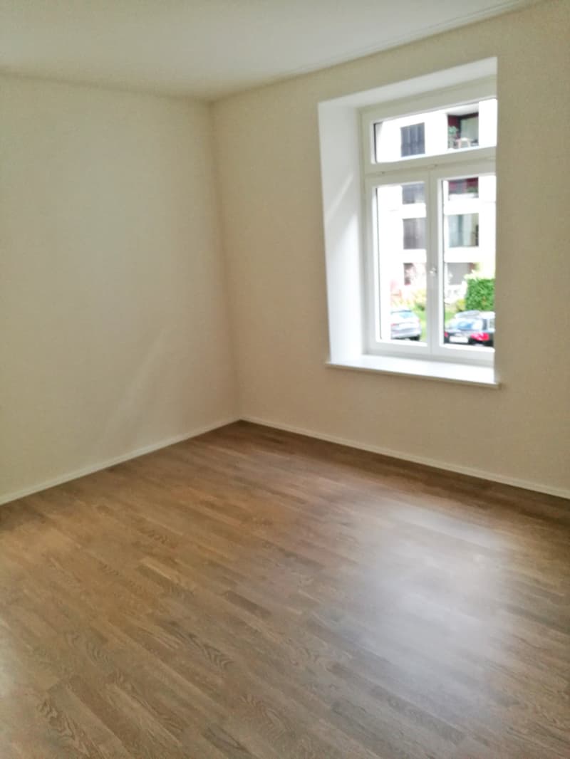 Saniert - charmant - grosszügig - mitten in Zürich! (6)