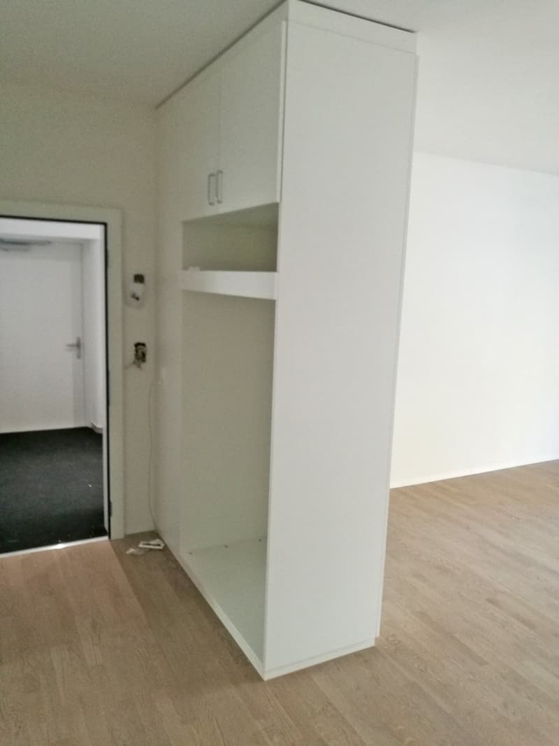 Saniert - charmant - grosszügig - mitten in Zürich! (10)