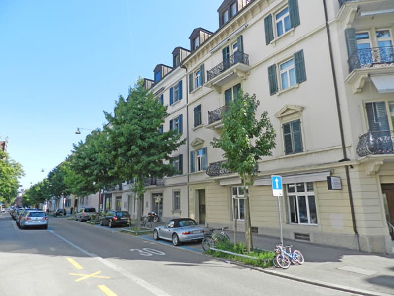 Saniert - charmant - grosszügig - mitten in Zürich! (1)