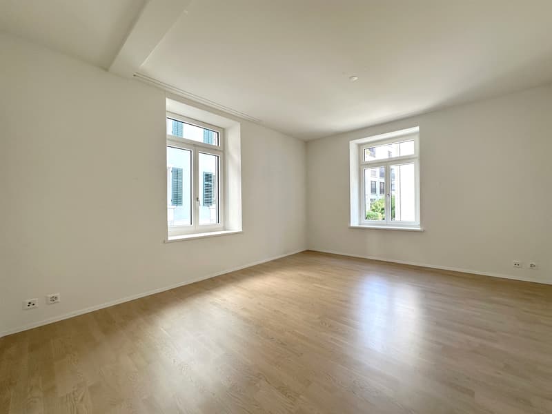 Saniert - charmant - grosszügig - mitten in Zürich! (6)