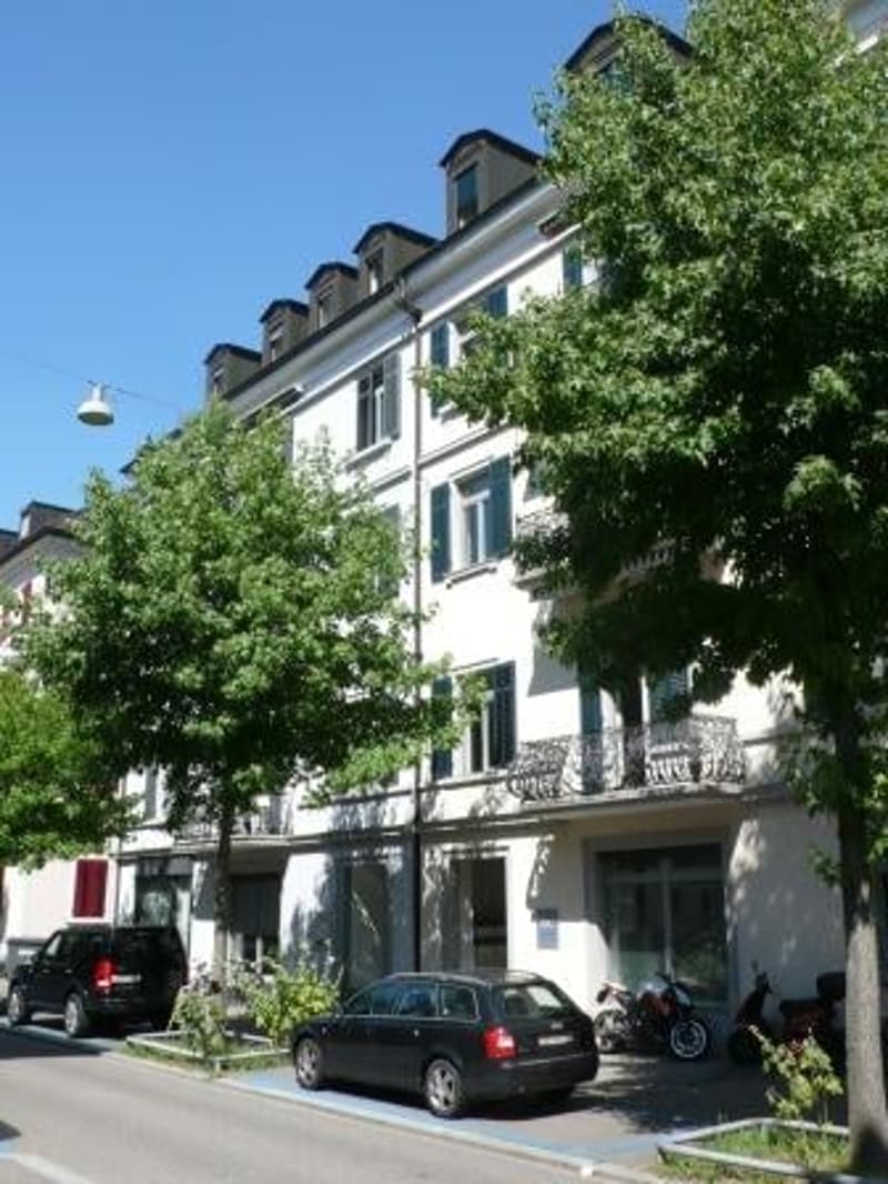 Saniert - charmant - grosszügig - mitten in Zürich! (2)
