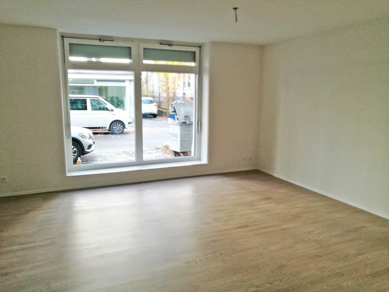 Saniert - charmant - grosszügig - mitten in Zürich! (9)