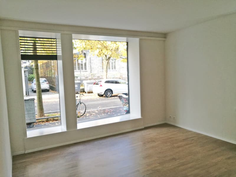 Saniert - charmant - grosszügig - mitten in Zürich! (4)