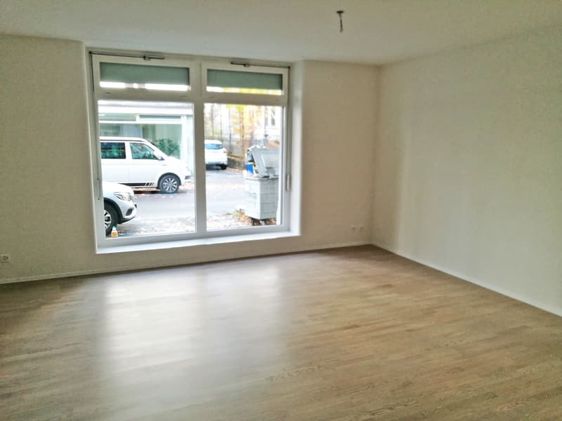 Saniert - charmant - grosszügig - mitten in Zürich! (9)