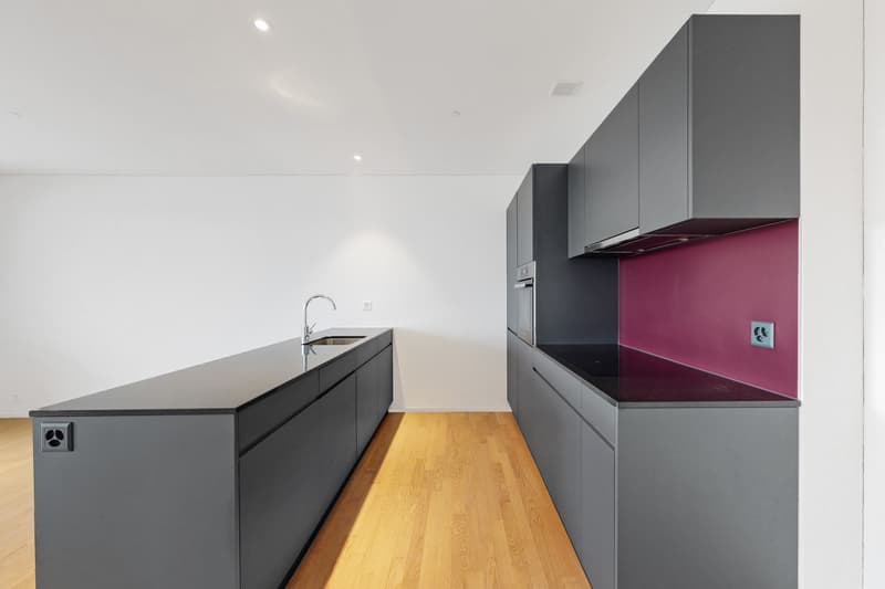Top moderne Wohnung mit "Inhouse" Kino! (3)