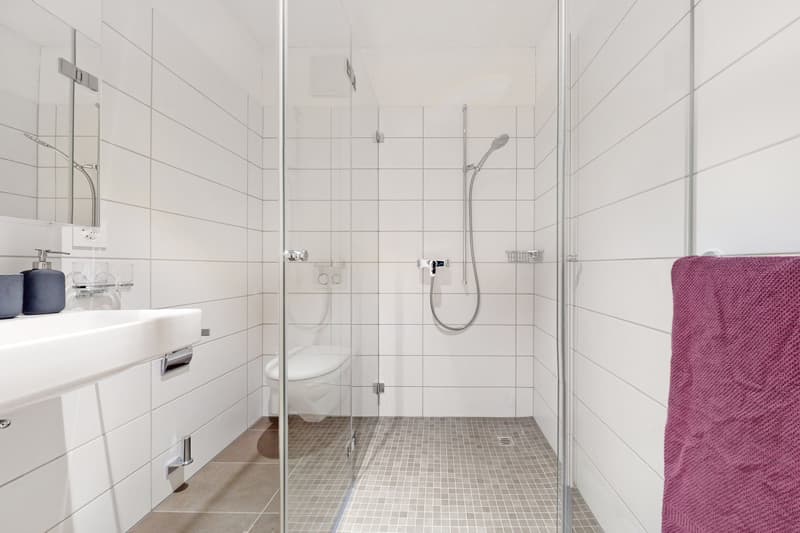 Schöne Wohnung in modernem Quartier sucht Nachmieter per 16.08.2026 (10)