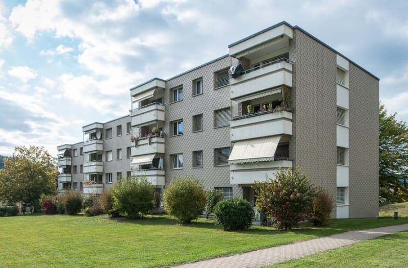 Grosszügig und mittem im Grünen - NachmieterIn per 01.10.2026 gesucht! (1)