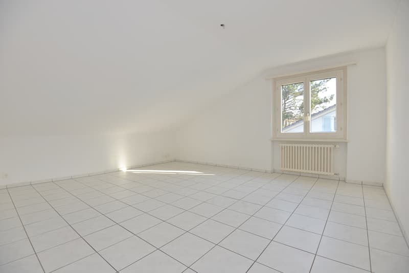 Lichtdurchflutete Dachwohnung im Herzen von Ebikon! (2)