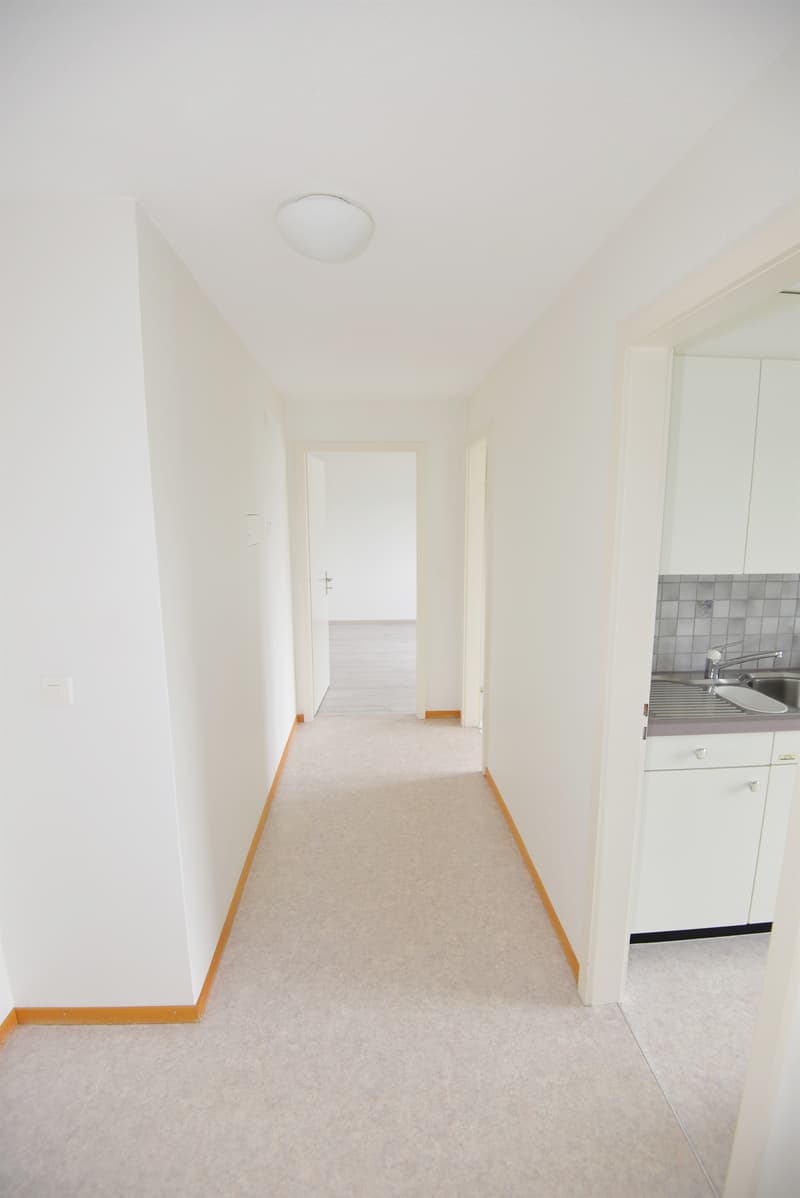 Gemütliche 1 Zimmer-Wohnung nahe dem Städtchen Sursee (6)
