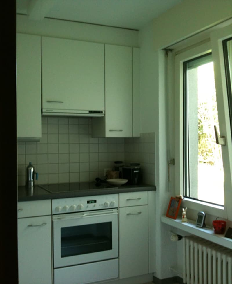 Zürich-Höngg, zentral und doch ruhig (5)