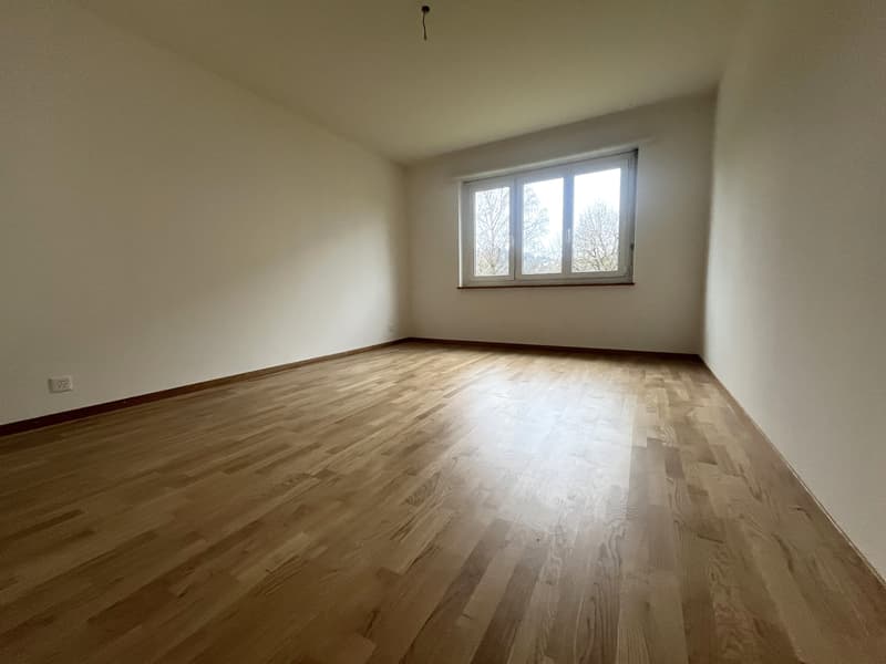Wohnung in ruhiger Umgebung (6)