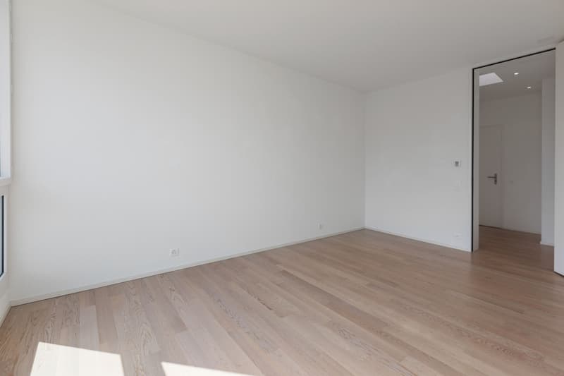 Residenza Laville: splendido attico in centro Locarno (5)
